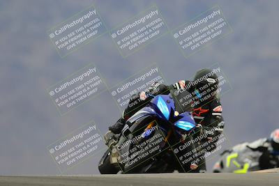 media/Jan-15-2023-SoCal Trackdays (Sun) [[c1237a034a]]/Turn 9 (2pm)/